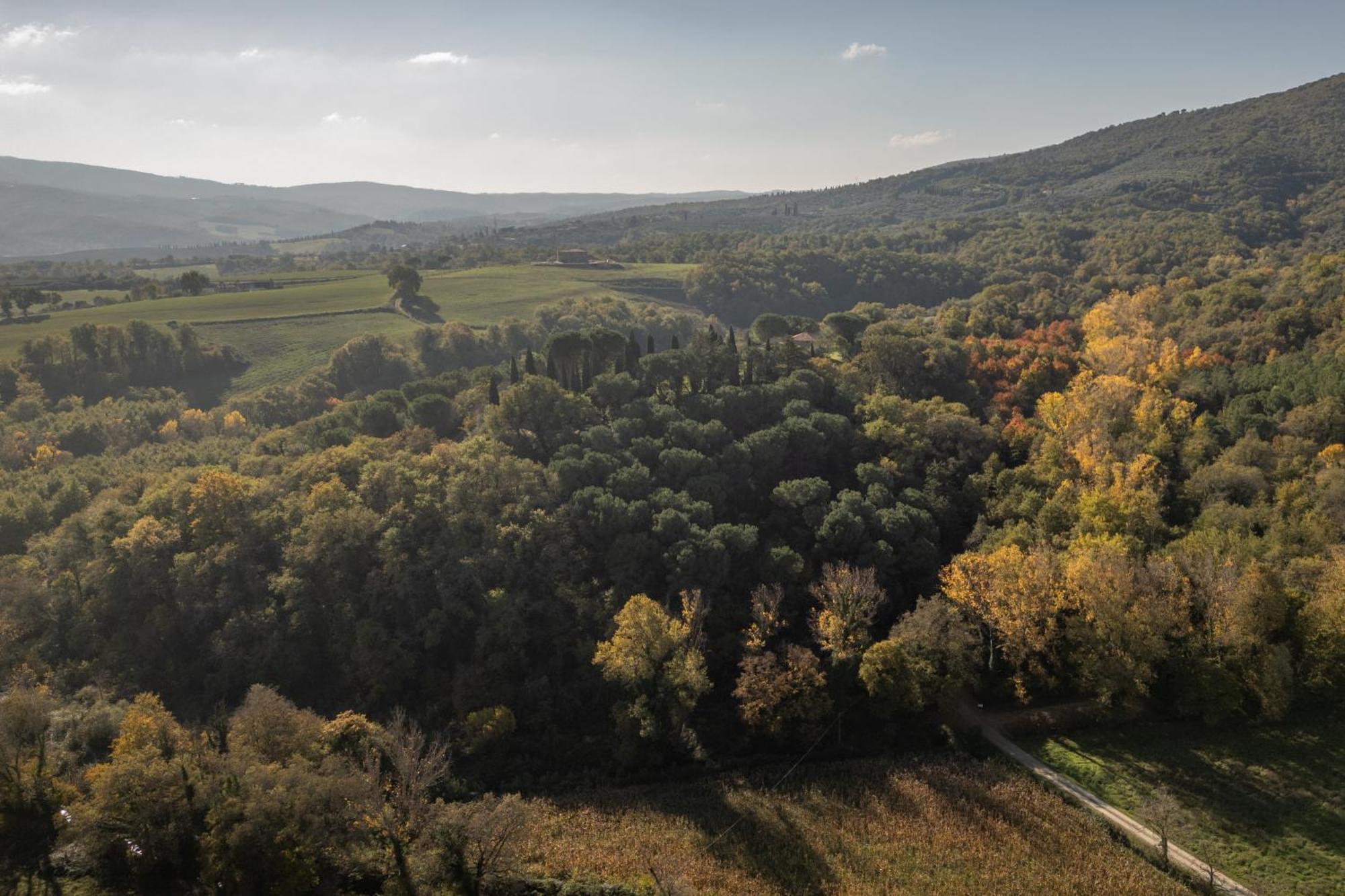Tenuta Di Caiolo Панікале Екстер'єр фото